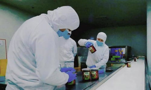 食品安全再上新台阶 叮咚买菜盱眙工厂fssc体系认证通过