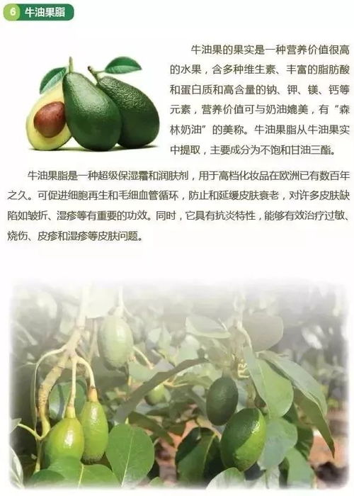 银屑病洗护用品元宵节特惠 关爱牛皮癣患者的肌肤健康