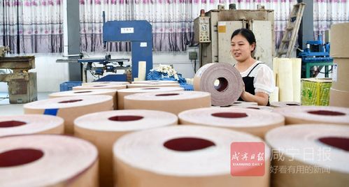 通城县投入2.2亿元建成94处微工厂破解牛皮癣难题